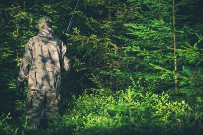 Illegal,Hunting,Poacher,In,The,Forest.,Poacher,With,Rifle.