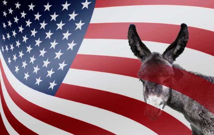 Democratic,Donkey,With,Us,Flag