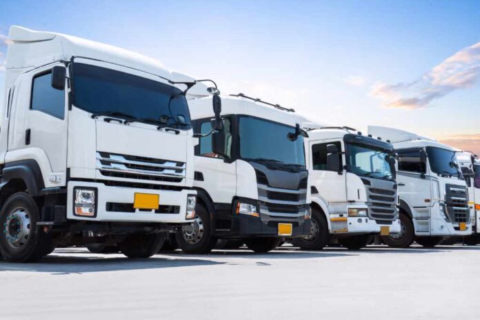 shutterstock_2601998373