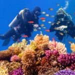 Two scuba divers exploring a vibrant coral reef filled with colorful fish