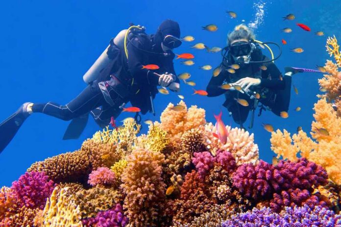 Two scuba divers exploring a vibrant coral reef filled with colorful fish