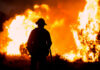 NHL Reporter and Kids Perish in Fiery Tragedy Silhouette of a firefighter standing in front of a large wildfire