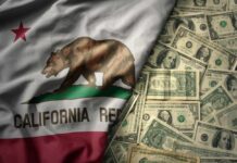 Giant Rodents UNLEASHED: California’s $5M Disaster California state flag featuring a bear overlaid on a background of U.S. dollar bills