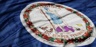 Virginia state flag featuring a central emblem on a blue background