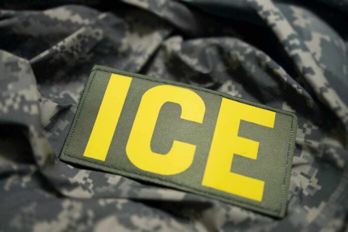 Close-up of a military patch with the letters ICE on a camouflage background