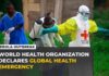 WHO declares global health emergency over the Ebola outbreak in DR Congo, Uganda
