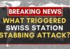Stabbing Attack At Swiss Train Station Injures 3 As Suspect Arrested Immediately | NewsX World