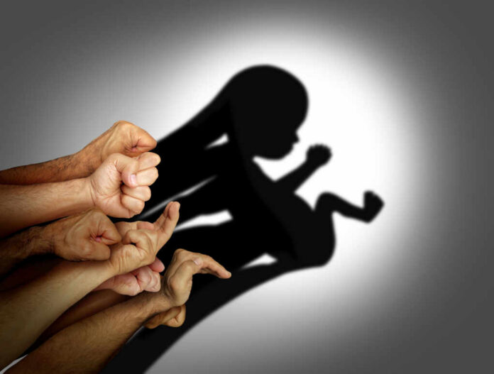 A collection of hands creating a shadow silhouette of a fetus