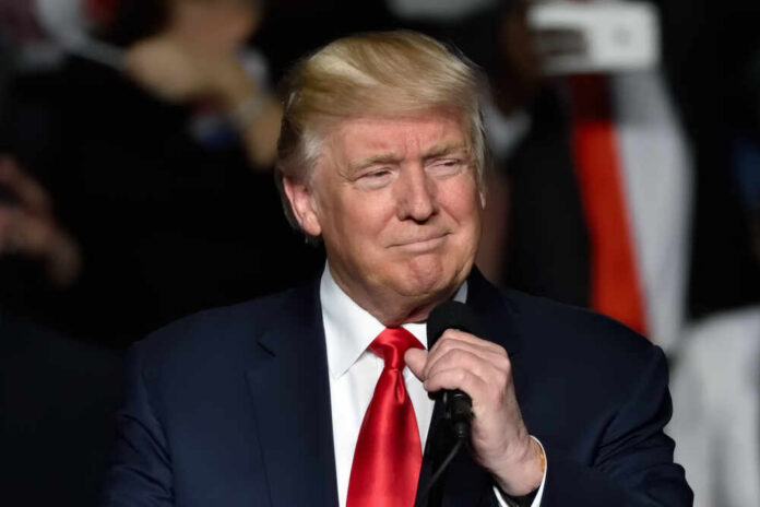 Donald Trump speaking at a rally with a microphone