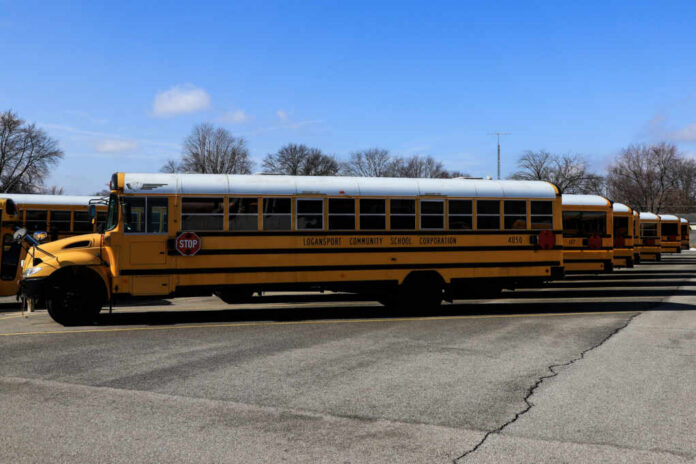 Yellow school buses parked in a lot under a blue sky