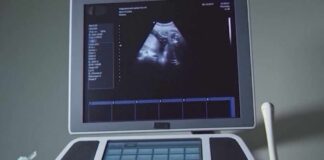 After birthright citizenship ruling, Texas Republicans scrutinize surrogacy and birth tourism