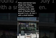Outrage Erupts, Suspect Walks San Francisco authorities arrest man for torturing kitten to ...
