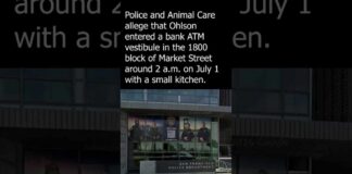 San Francisco authorities arrest man for torturing kitten to ...