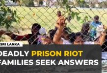 Gun-Grabbing Chaos Inside Sri Lankan Prison Sri Lanka prison riot kills 26 as families seek answers after deadly clashes