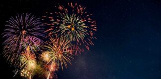 Colorful fireworks bursting in the night sky