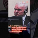 Cold Justice? UN Tribunal Slammed After Death Serbia's President Criticizes UN Court Over Mladic's Death