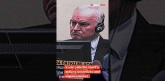 Serbia's President Criticizes UN Court Over Mladic's Death