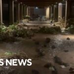 Monster Surf Slams West Shores Hurricane Lowell's impact in Hawaii captured in videos