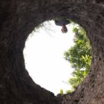 Person peering down into a deep dirt hole