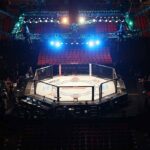 Scary UFC Collapse – What Happened? MMA octagon cage under arena lights