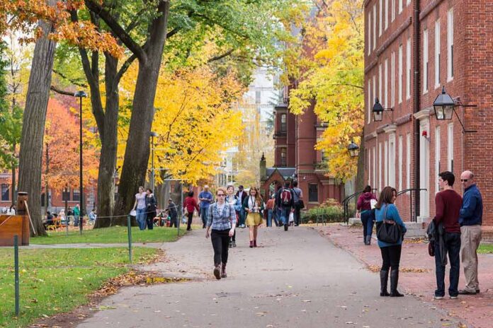 Students walking through a leafy campus path in autumn