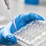 Mystery Tick Virus Emerges In Hubei Gloved hand holding a multiwell plate as a pipette dispenses liquid