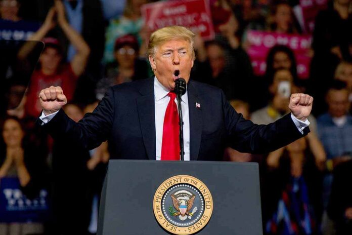 Donald Trump speaking at a rally podium with arms raised